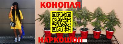 гидропоника Донецк