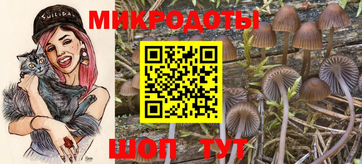 Галлюциногенные грибы ЛСД Красноуфимск